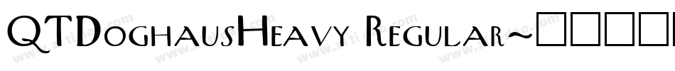 QTDoghausHeavy Regular字体转换